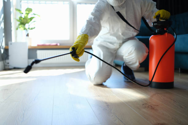 Reliable Hoarding Cleanup contractor in Randsburg, CA by Dulley Family Biohazard Services